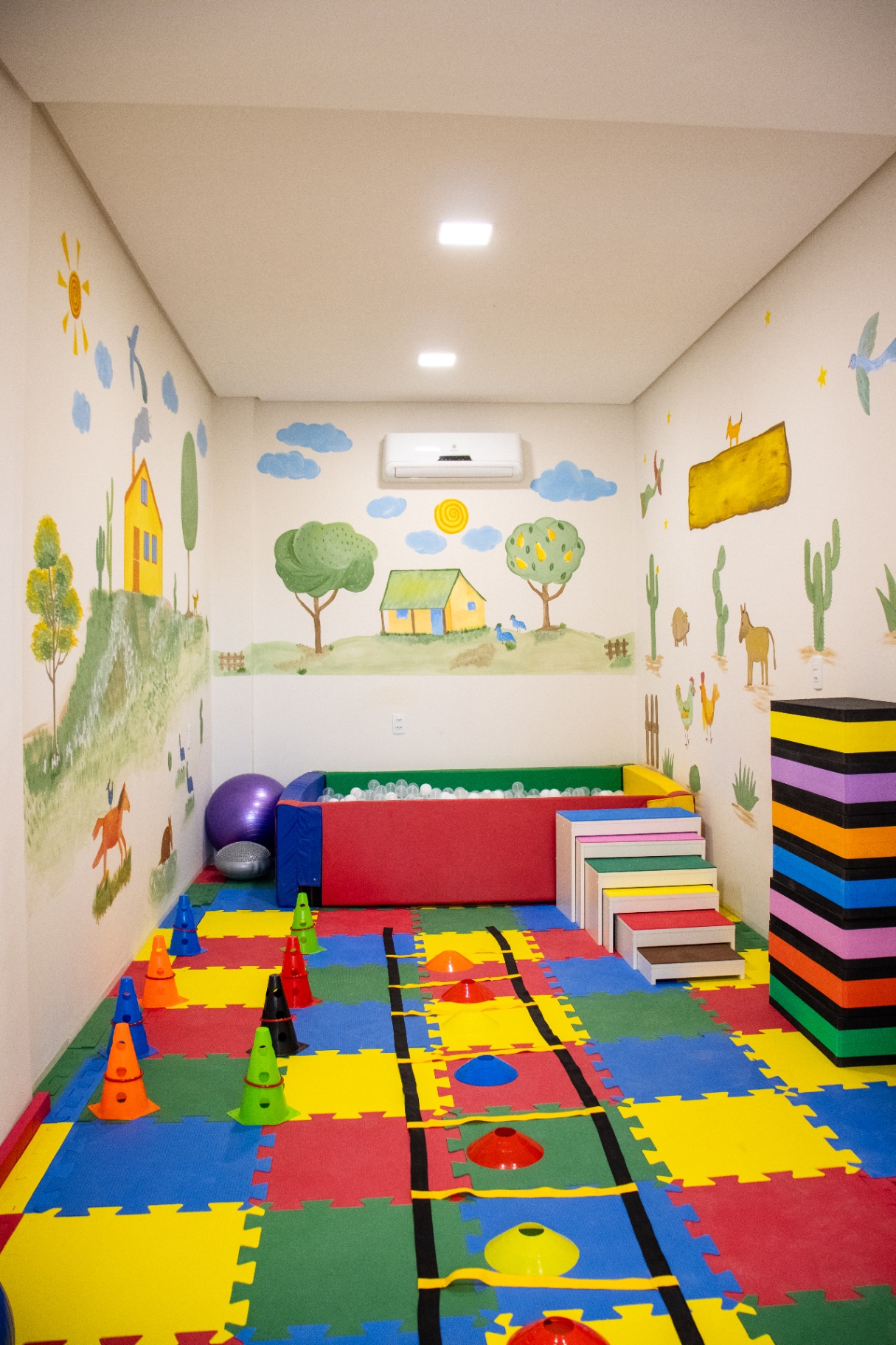 Sala de fisioterapia com piscina de bolinhas